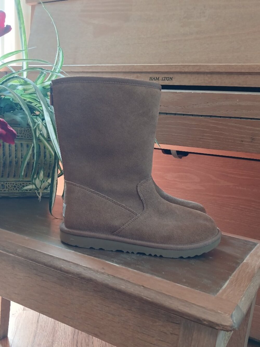 Ugg Ankle Boot - Picture 2 of 6